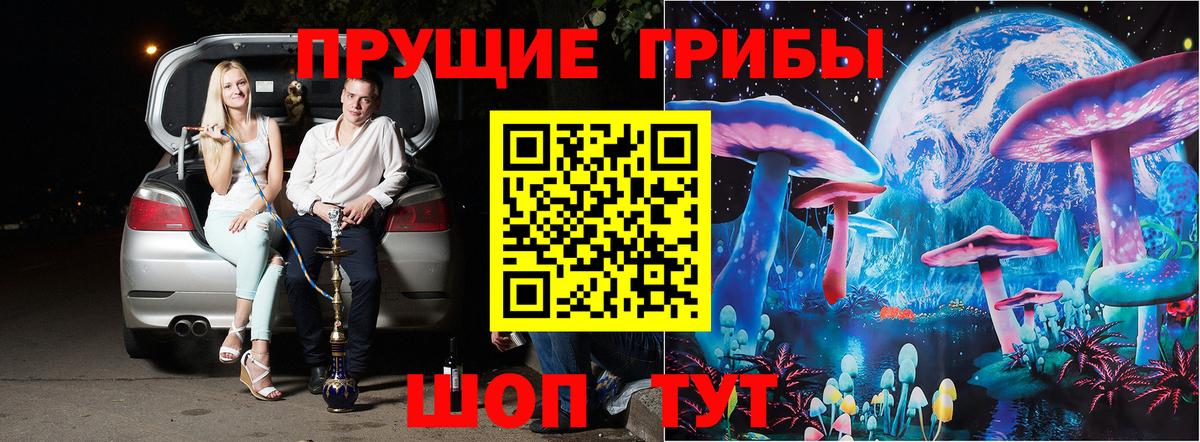 Галлюциногенные грибы мицелий  Псилоцибиновые грибы MAGIC MUSHROOMS  Гурьевск  Вход с VPN 