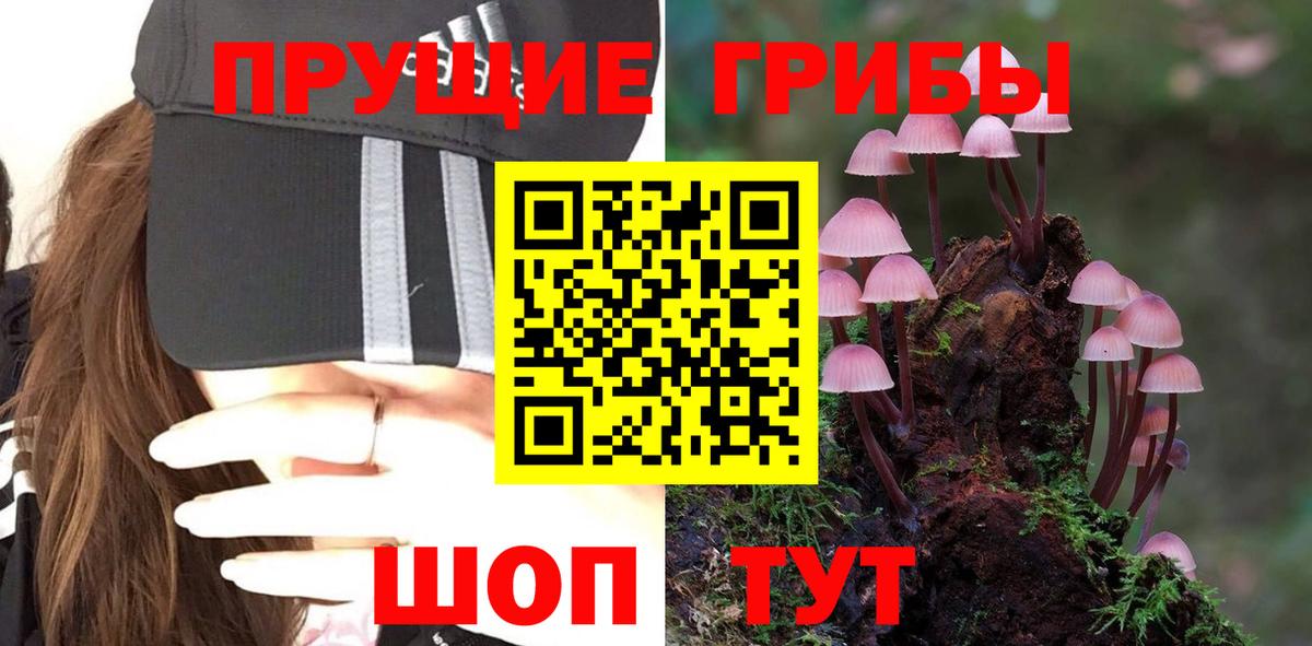 Псилоцибиновые грибы прущие грибы Гурьевск